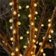 thumbnail image 4 of Fiudx Guirnalda de Luces Solares, Decoración Led con Bolas de Cristal de Colores, Diseño de Bajo Consumo con Energía Solar, Iluminación Exterior Resistente a La Intemperie, Ideal para Bodas, Jardines, 4 of 6