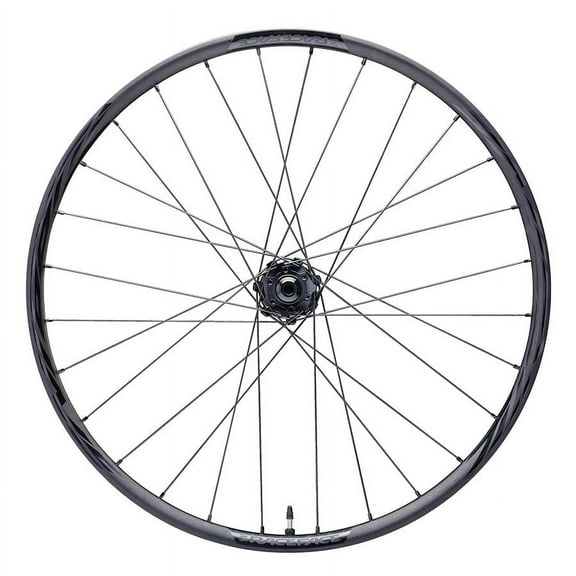 Race Face Turbine-R 35 29" Front Wheel, 15x110 Boost - Black