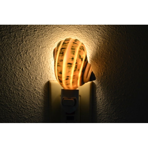 Green Banded Stripe Jade Turbo Sea Shell Nightlight