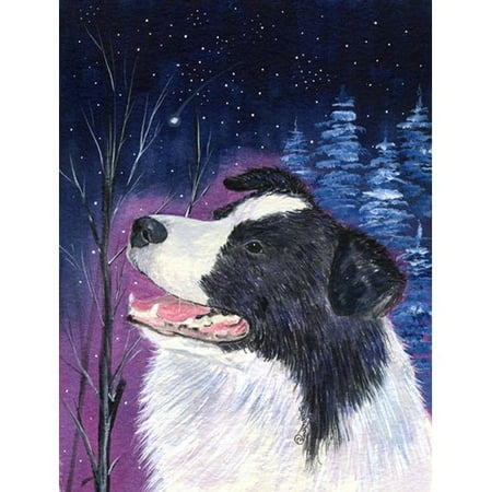 Caroline's Treasures Starry Night Border Collie 2-Sided Garden Flag