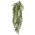 thumbnail image 1 of Vickerman 34" Artificial Green Lemon Beauty Leaf Vine x 81, 1 of 3