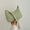Green, variant on Shoulder Bag for Women, Adjustable Crossbody Bag, Casual Handbag Purse with Top Handle, 7.87 Inch, High-Quality Material, for Work, Dating, Travel & Casual Outings
