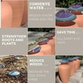 thumbnail image 5 of Large 1.25 Gallon Olla for Garden Watering * Perfect for Large Garden Beds * Porous Terracotta Self-Watering Irrigation Pot (Olive Purple & Blue Lid), 5 of 12