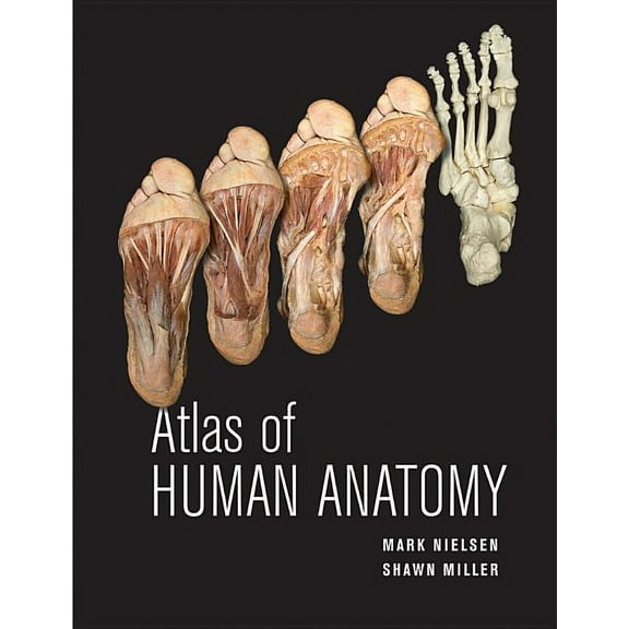 Atlas of Human Anatomy, (Paperback)
