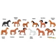 thumbnail image 2 of Safari Ltd Chevaux TOOB, 2 of 9
