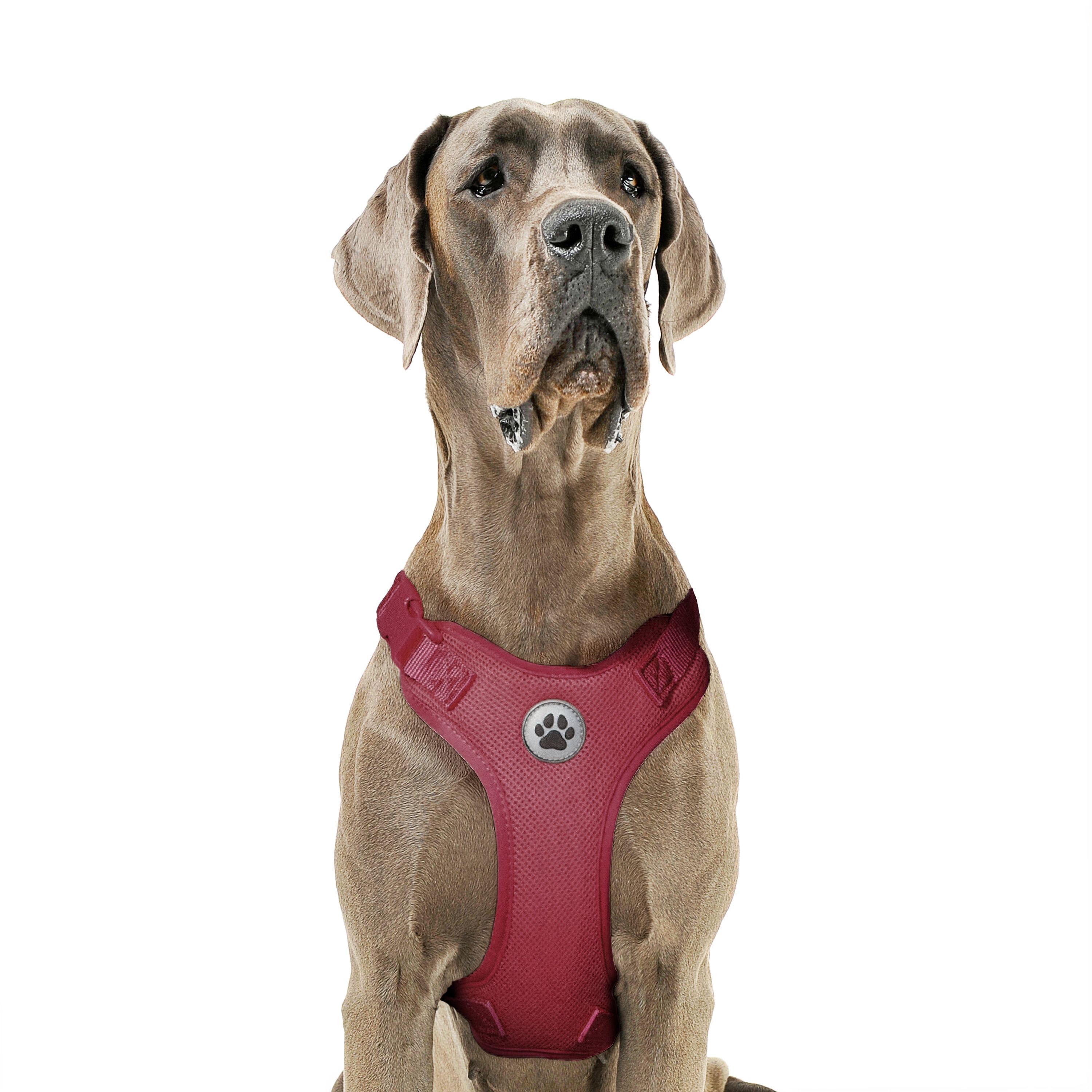 Vibrant Life Polyester Mesh Adjustable and Reflective Dog Walking Harness, Red, XL
