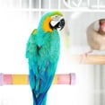 thumbnail image 6 of Bvdfgk Parrot Perch Stand Perch Cage Accessories Parakeet Toys Bird Cage Perch violet fixer, 6 of 9