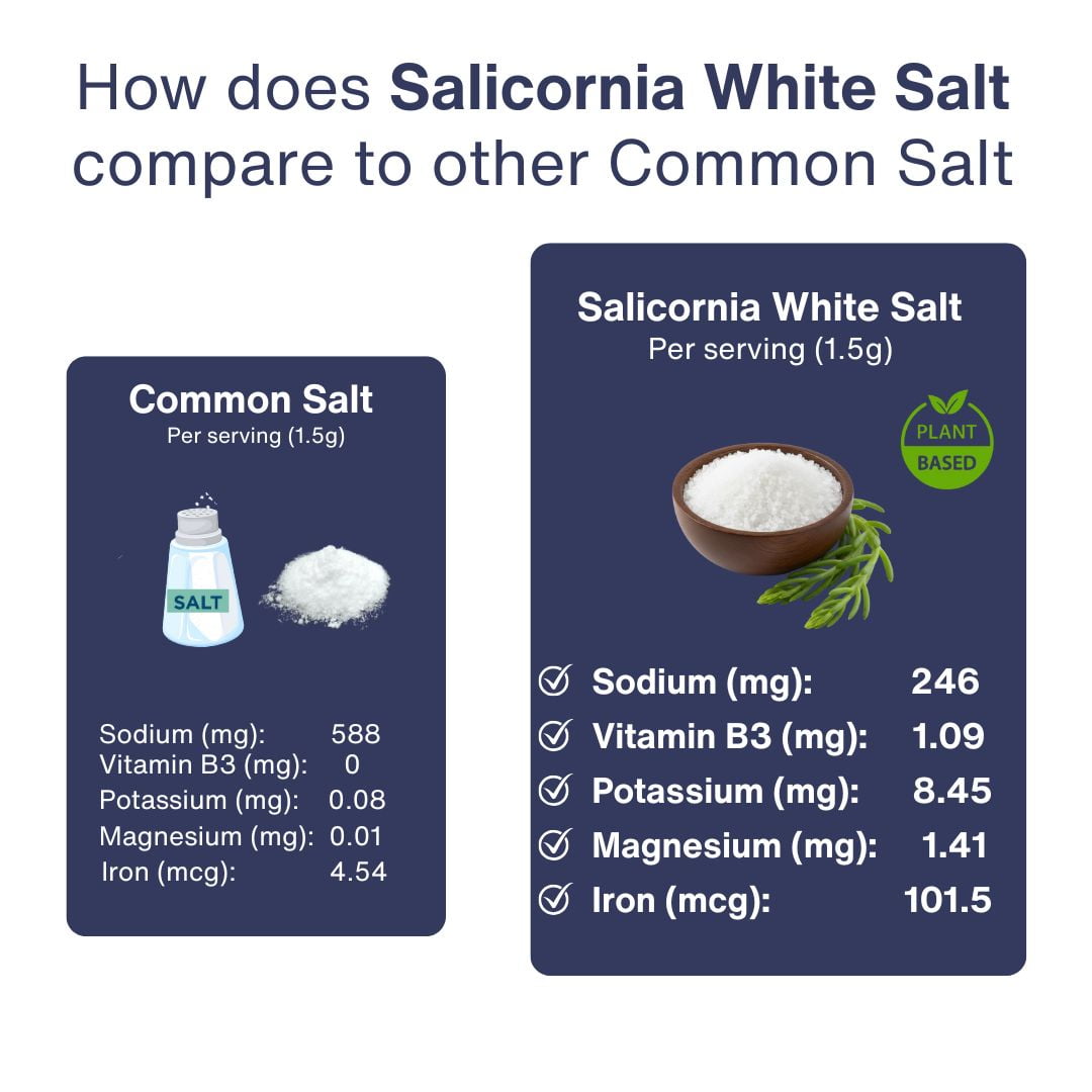 SaltWise Low Sodium Salt Substitute, 50% Less Sodium, Vegan & Kosher, 100% Natural, No Additives, Pack of 2