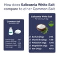 thumbnail image 2 of SaltWise Low Sodium Salt Substitute, 50% Less Sodium, Vegan & Kosher, 100% Natural, No Additives, Pack of 2, 2 of 10
