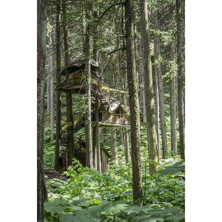 Jungle Tree House - Canvas Print House Story Unique Treehouse Home Jungle Tree Stretched Canvas 32 x 24