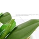 thumbnail image 4 of Orquídeas Artificiales Yuarrent Tazón Blanco Imitación Real Touch, 4 of 6