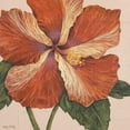 thumbnail image 3 of Shelby, Judy 20x20 Black Modern Framed Museum Art Print Titled - Island Hibiscus I, 3 of 5
