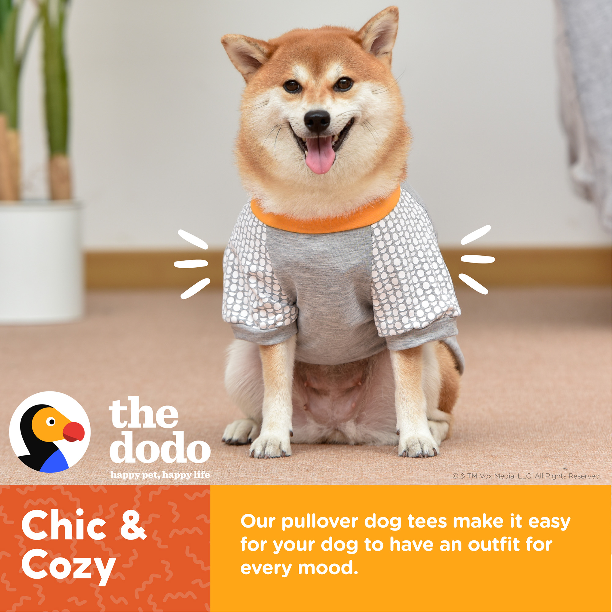 The Dodo Grey T-Shirt Medium
