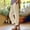 Beige, variant on Womens Linen Pants Elastic Waist Straight Leg Petite Beach Pant Summer Lightweight Casual Lounge Trousers, 2026 New Limited Time Offer
