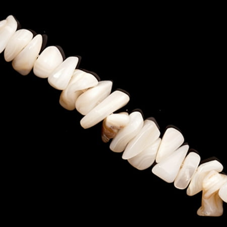 - 6~15x2~6mm Chip Shell Beads From Natural Color Iridescent South Sea White-Lip Shells Shop per 16Inch String