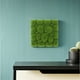 thumbnail image 2 of 3 piezas de musgo artificial en espuma, plantas verdes, decoración de pared, fondo de pared DIY, 2 of 7