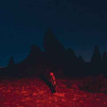 Phoebe Bridgers - Punisher - Music & Performance - Vinyl