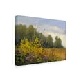thumbnail image 2 of Trademark Fine Art 'Big Tree Farm' Canvas Art by Mary Jean Weber, 2 of 4
