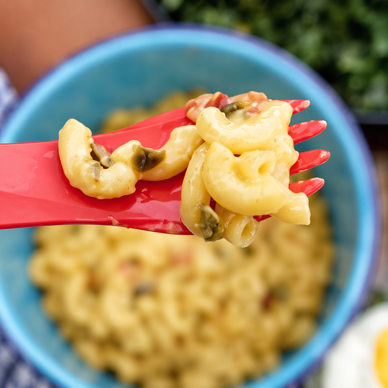 FishSki Provisions Macaroni and Cheese Variety Pack, Garlic Cheddar Cheese, Hatch Red and Green Chile, 6 oz bags, 6 pack