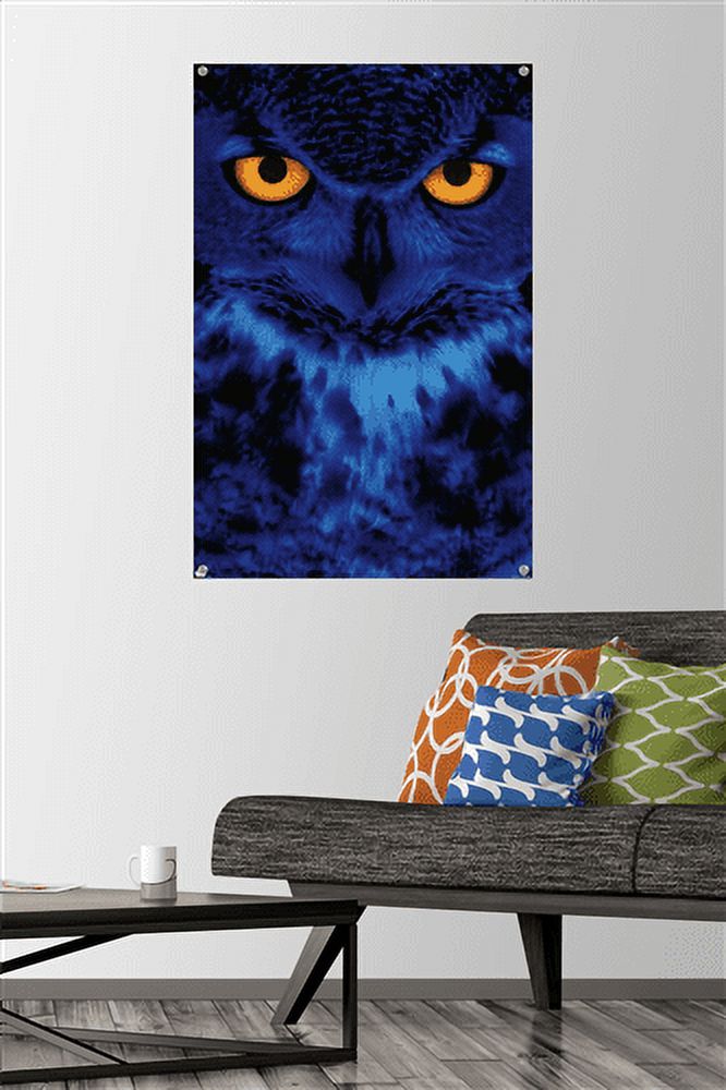 Owl - Eyes Wall Poster with Push Pins, 22.375" x 34"
