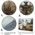 thumbnail image 3 of Designart "Sheep Charm Of Silence II" Animals Floater Framed Canvas Print, 3 of 7