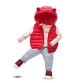 thumbnail image 3 of Godderr 9M-5Y Boys Girls Wide Shoulder Vest Jacket for Toddler Kids,Sleeveless Jacket,Solid Color Zipper Waistcoat,Fall Winter down Jacket down Coats, 3 of 5