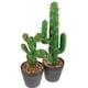thumbnail image 2 of 2 piezas de cactus en maceta de plástico para decoración de escritorio, pequeñas figuras de cactus en maceta, decoración suculenta, 2 of 8