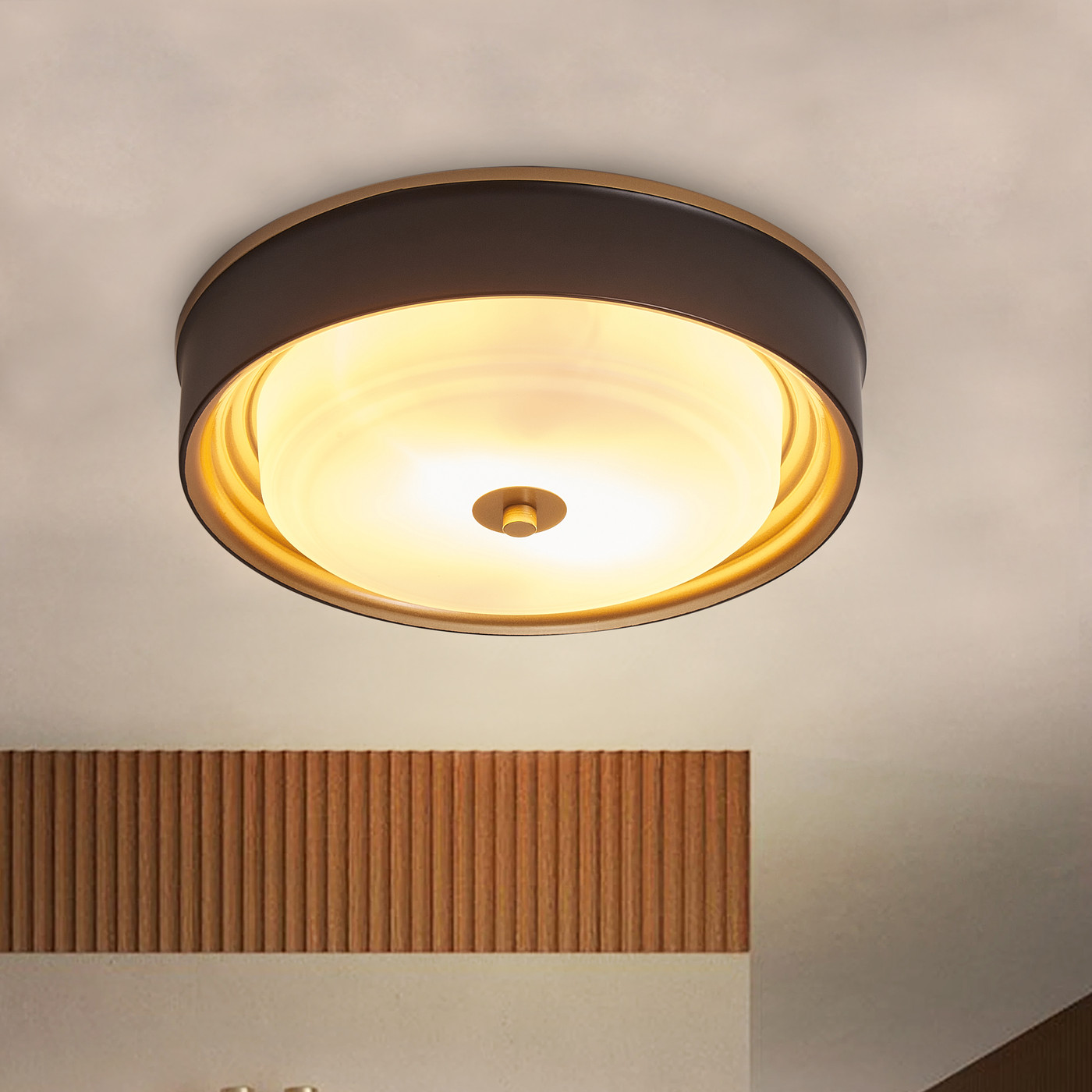 Aiwen 2 Light Modern Round Shade Flush Mount Ceiling Lamp Home Decor Light Fixture
