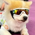 thumbnail image 2 of Nuevas gafas de sol decorativas para mascotas, gafas de osito de peluche, gafas de protección UV para perros Schnauzer Y2K, UV400, 2 of 5