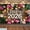 5x3FT, variant on Class of 2026 Graduation Backdrop Rustic Wood Congrats Grad Background Pink Floral Greenery Leaves Congratulations Graduation Party Decorations Banner Supplies Photo Booth Props
