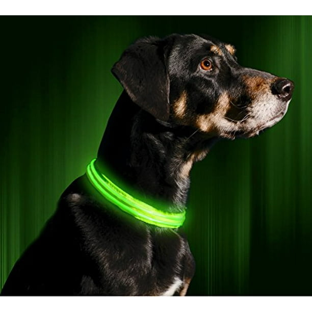 High visibility dog collar hotsell