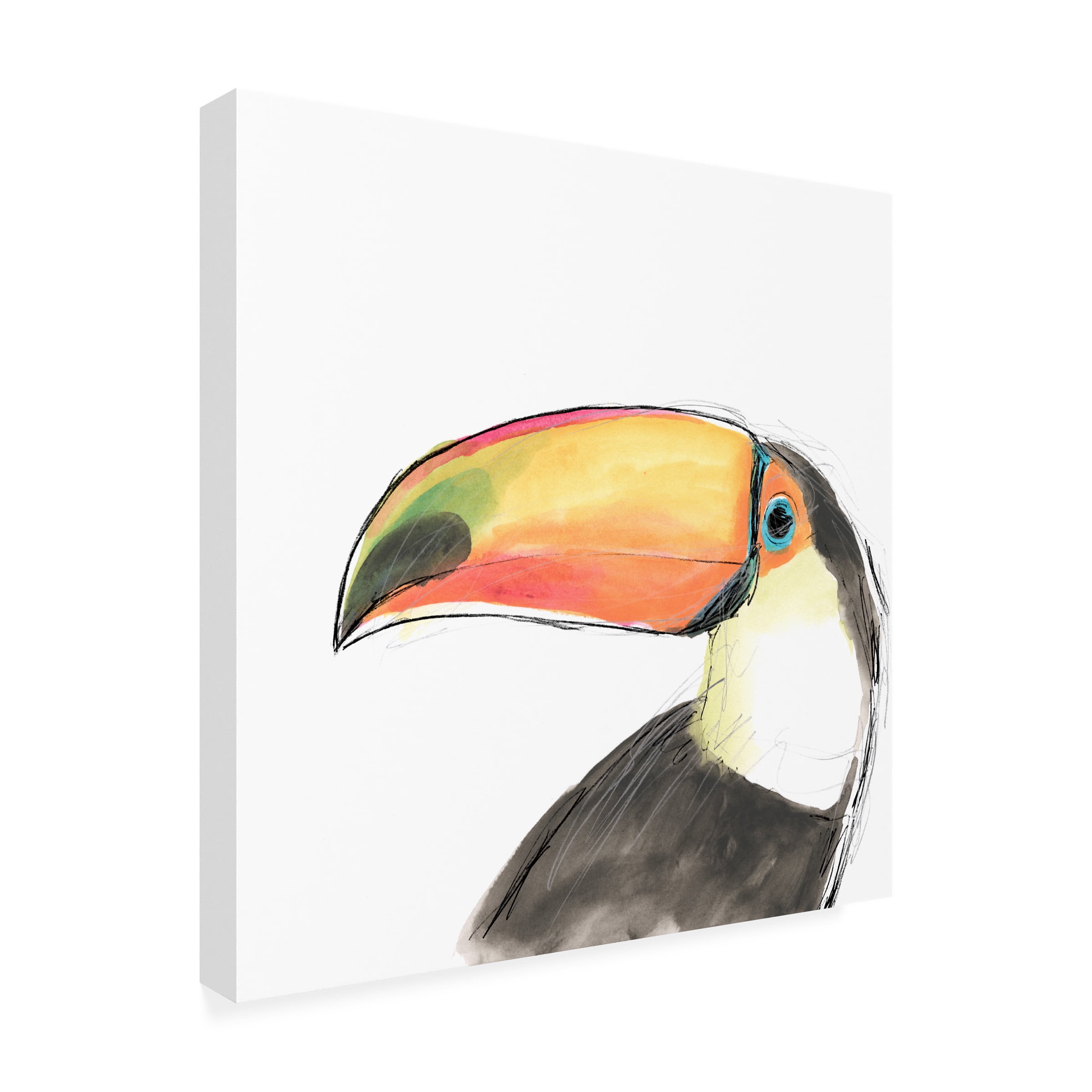 June Erica Vess 'Tropical Bird Portrait III' Canvas Art