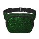 thumbnail image 1 of Fotbe Green Sparkling Cangurera Cuadrada con Estampado de Doble Capa, Bolsa de Cintura Ajustable Mini para Hombres y Mujeres, 1 of 9