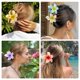 thumbnail image 4 of Paquete de 10 pinzas con forma de flor HAPTIME para mujer, diseño de plumeria, 4 of 7