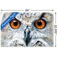 thumbnail image 5 of Owl - Close Wall Poster, 22.375" x 34", 5 of 5