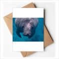 thumbnail image 1 of Marine Organism Photography Animal Picture Greeting Cards You are Invited Invitations, 1 of 3