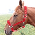 thumbnail image 3 of Dioche Thickened Horse Halters, Horse Fly Control, For Driving, 3 of 8