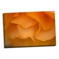 thumbnail image 1 of Gango Home Decor Begonia Glow II by Rita Crane (Ready to Hang); One 36x24in Hand-Stretched Canvas, 1 of 4