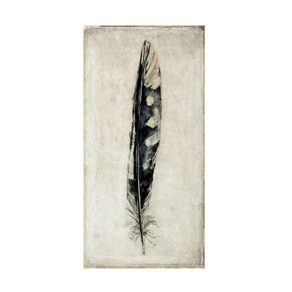 Symposium Design 'Feather 3' Canvas Art
