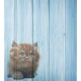 thumbnail image 3 of Ambesonne Animal Duvet Cover Sets, Vivid Rustic Kitty, 2-King, Caramel Blue, 3 of 7