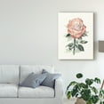 thumbnail image 3 of Trademark Fine Art 'Beholden Rose I' Canvas Art by Grace Popp, 3 of 4