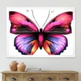 thumbnail image 3 of Designart 'Portrait Of Bright Pink Butterfly' Modern Framed Art Print, 3 of 4