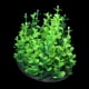 thumbnail image 3 of Adorno de plantas de acuario Gloria de plastico Cm para pecera, 3 of 6