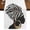 Black White, variant on Africans 72 Inch Table Runner, Modern Abstract Ethnic Women Farmhouse Dresser Scarf Cotton & Linen Tablerunner for Dining/Kitchen Island/Holiday Party Décor 13" x 72"