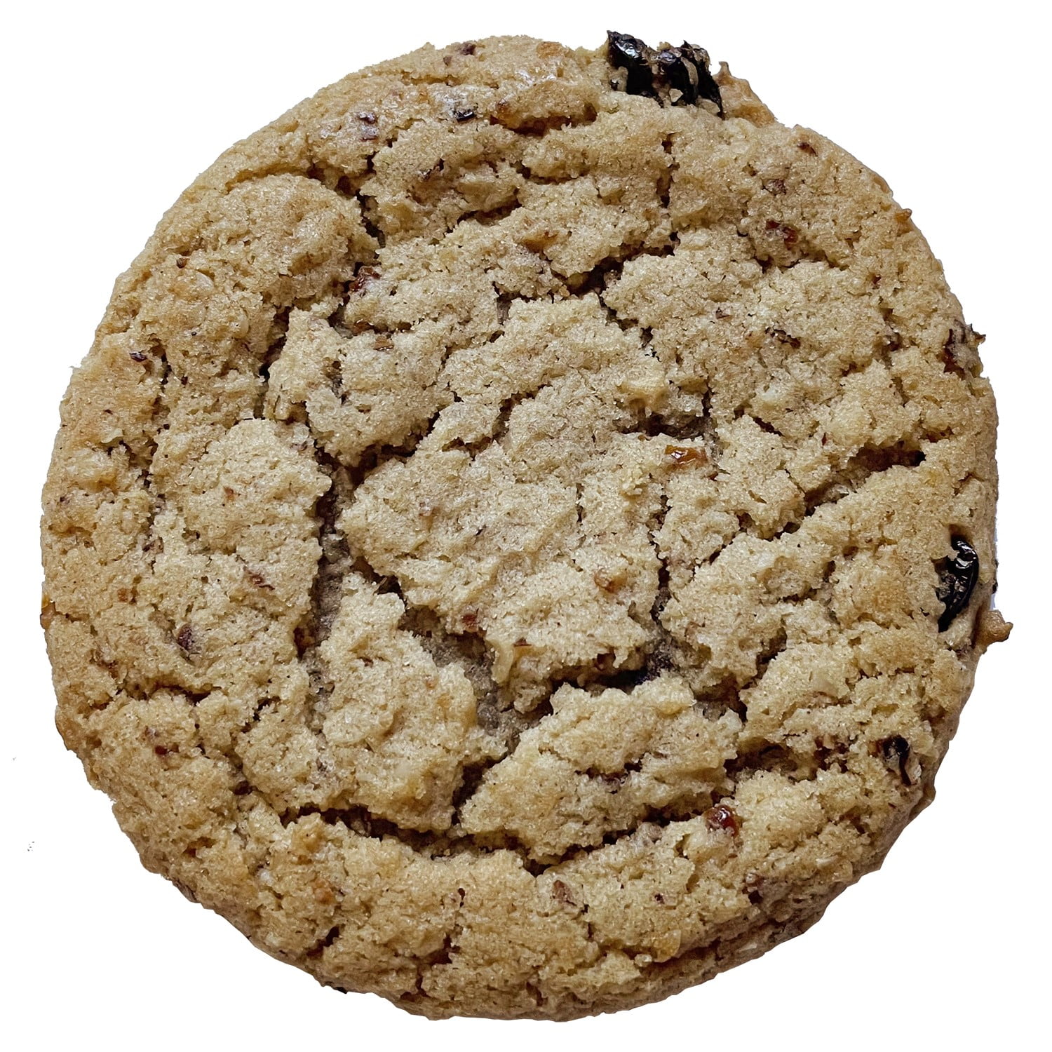 (10 pack) Homestyle Soft Baked Oatmeal Raisin Cookie 6 Count, Ready to Eat, Kosher Dairy, Contains: Eggs, Milk, Soy, Wheat