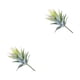 thumbnail image 1 of Wosthever Suculentas falsas, belleza de la naturaleza para el hogar o la oficina, suculentas artificiales, plantas artificiales para exteriores Type2 NO2, 1 of 6