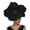 Black, variant on Tittly Wide Brim Hats Western Hat Hat For Women Wedding Flower Mesh Hair Clip Tea Headband Hats for Women Visor Hats Black One Size