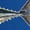 Royal, variant on Funny Tuna Fishing Gag Musky Tuna Humor Fisherman Tshirt