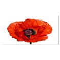 thumbnail image 2 of Red Poppy Blossom Close Up - Floral Canvas Art Print, 2 of 3