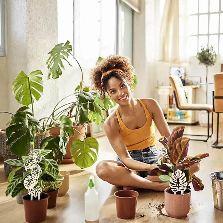 4Pcs 2 Style Wood Plant Trellis Monstera Leaf Wood Trellis for Potted  Plants Small Indoor Plant Trellis Wood Vine Plant Support Plants Potted  Plants Support - 9.8~15.6 inch Long Blanched Almond - Walmart.com